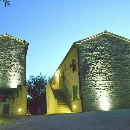 Viola 2 * Cantiano